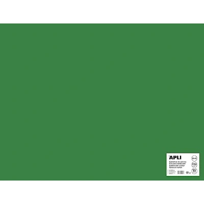 Afbeelding van APLI Donkergroen Karton 50 x 65 cm 170 g/m² 25 vel