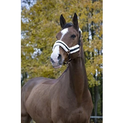 Afbeelding van Norton Halster Confort Zwart Cob
