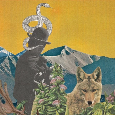 Afbeelding van Leslie Graves &amp; Toby Goodshank Between Worlds (LP)