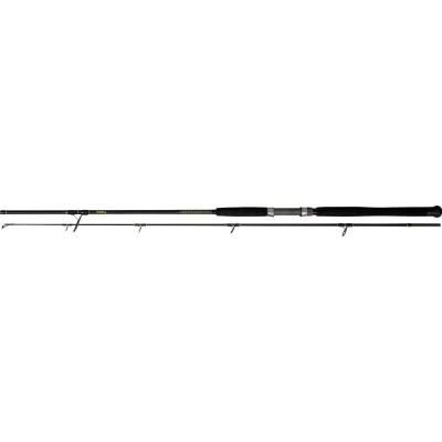 Image de Black Cat Solid Spin 2,40m (40 160g) Canne silure