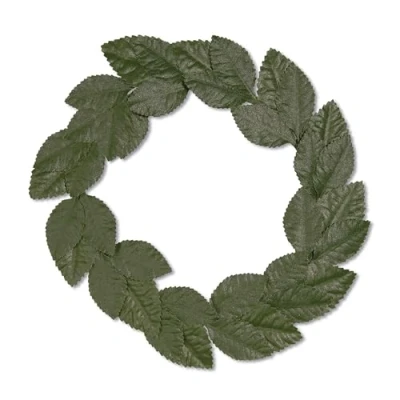 Afbeelding van WIDMANN Groene laurierkrans voor volwassenen Accessoires &gt; Haar &amp; hoofdbanden