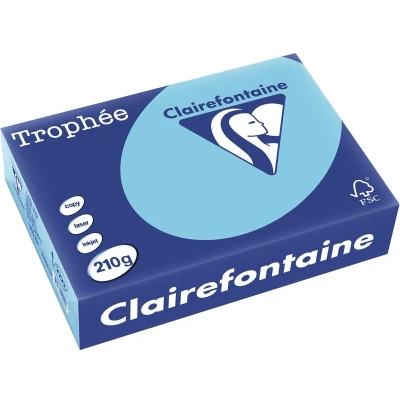 Afbeelding van Clairefontaine Trophée Pastel, Gekleurd Papier, A4, 210 G, 250 Vel, Helblauw Papier