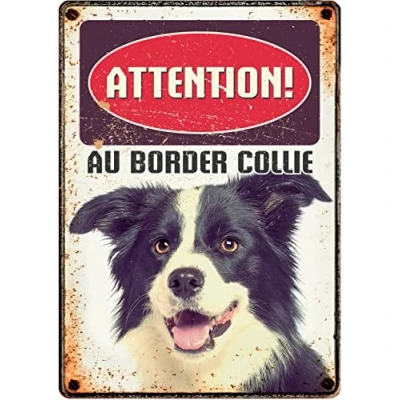 Afbeelding van Plenty Gifts Border Collie waakbord hond 21 cm (Franstalig)