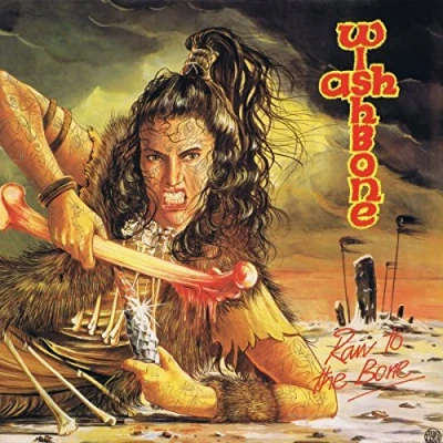 Afbeelding van Wishbone Ash Raw To The Bone