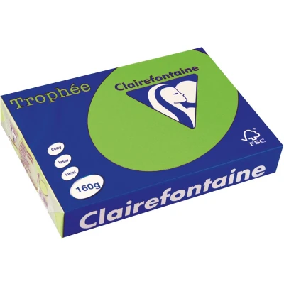 Afbeelding van Clairefontaine Trophée Intens, gekleurd papier, A4, 160 g, 250 vel, grasgroen papier
