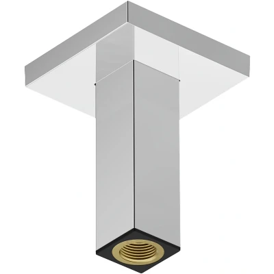 Afbeelding van Hansgrohe Pulsify plafondaansluiting E 10 cm