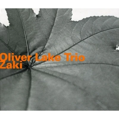 Afbeelding van Oliver Lake Trio Zaki (CD)