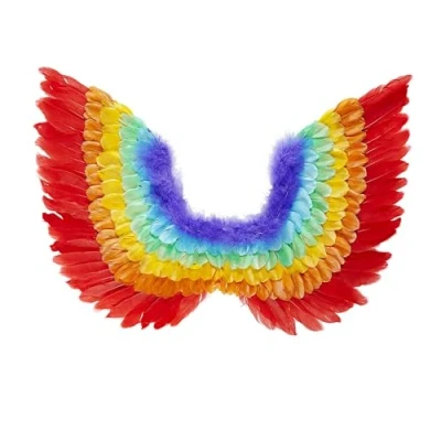 Afbeelding van Veren vleugels regenboog 60cm