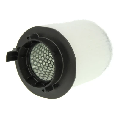 Afbeelding van CORTECO 80004668 Luchtfilter 150 250 Filter insert AUDI: R8 Coupe