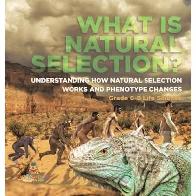 Afbeelding van What is Natural Selection? Understanding How Selection Works and Phenotype Changes Grade 6 8 Life Science
