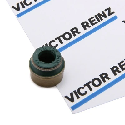 Afbeelding van Reinz Klepsteeldichting 70 26058 00
