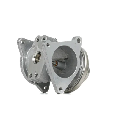 Afbeelding van WAHLER 7496D/1 EGR klep Pneumatisch Met pakkingen VOLKSWAGEN: Golf 5, Polo IV Hatchback, 4, SKODA: Fabia 2, Octavia II 2 Combi