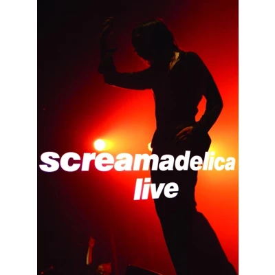Afbeelding van Primal Scream Screamadelica Live (DVD)