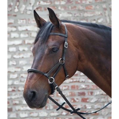 Afbeelding van Waldhausen Bitloos Hoofdstel LTJ Zwart Full