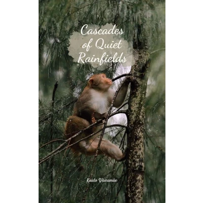 Afbeelding van Cascades of Quiet Rainfields