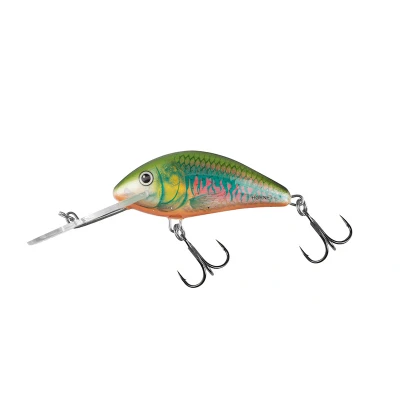 Afbeelding van Salmo Floating Hornet 6cm 10g (diepte 2 5.6m) Soort : Holographic Oikawa