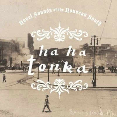 Afbeelding van Ha Tonka Novel Sounds of the Nouveau South (LP)