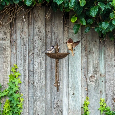 Afbeelding van Relaxdays vogelbad gietijzer decoratie voerschaal waterschaal vogeldrinkschaal