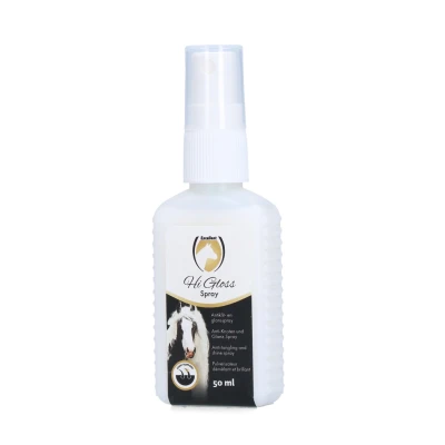 Image de Excellent Spray Hi Gloss 500ml