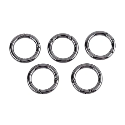 Afbeelding van Demeras 5 stuks / Zinklegering Zak Ronde Karabijnhaak ringen Veer O Drukclip Sleutelhanger Spring voor Tassen, Handtassen, Sleutelhangers, Camping Wandelen