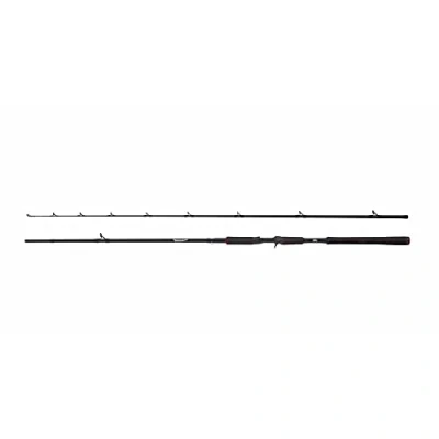 Image de Canne casting Abu Garcia Beast Pike
