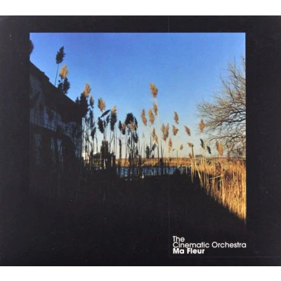 Afbeelding van Submotion Orchestra: Ma Fleur (Tour Edition 2015) [CD]