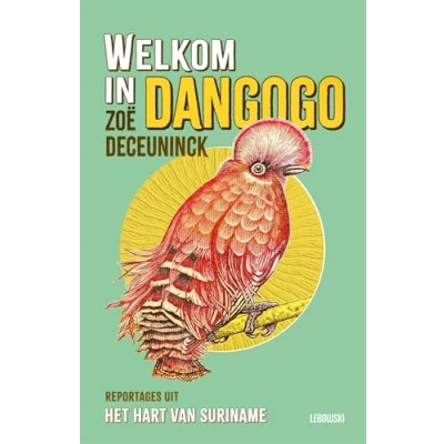 Afbeelding van Welkom in Dangogo
