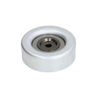 Afbeelding van DAYCO APV2823 Geleiderol
