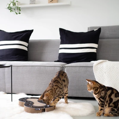 Afbeelding van District70 Kattenspeelgoed Snake Zwart