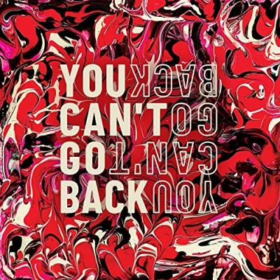Afbeelding van You Cant Go Back
