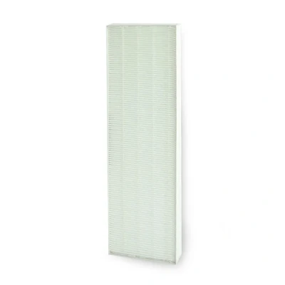 Image de Filtre Fellowes HEPA pour DX5 Blanc