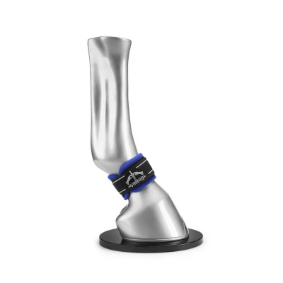 Image de Veredus Protège Paturon Magnetik Pro Wrap Noir L