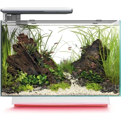 Afbeelding van Superfish Quadro 70 Multi Colour Wit
