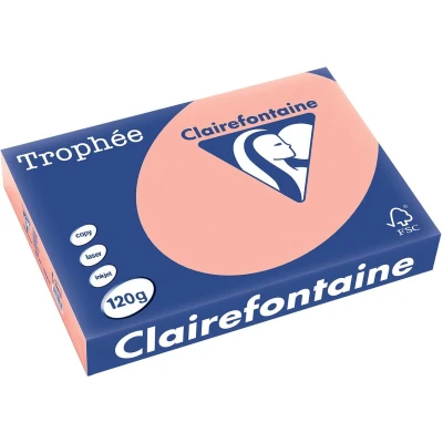 Afbeelding van Clairefontaine Trophée Pastel, gekleurd papier, A4, 120 g, 250 vel, perzik