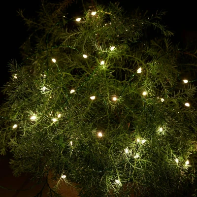 Afbeelding van LED lichtketting Knirke voor buiten, 40 lampjes
