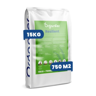 Afbeelding van Organifer Speelgazon Graszaad Resilient (15 kg voor 750 m2)