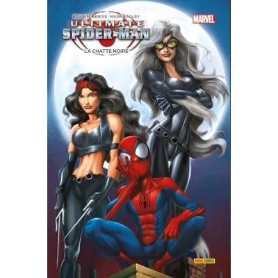 Afbeelding van ULTIMATE SPIDER MAN,04