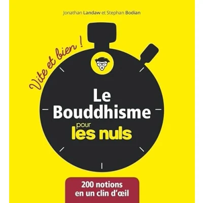 Afbeelding van Le Bouddhisme Vite et bien pour les Nuls