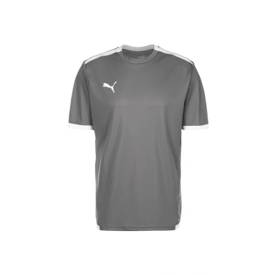 Afbeelding van Puma Teamliga Shirt Korte Mouw Heren Grijs / Wit Maat: XXL