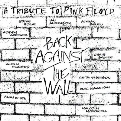 Afbeelding van Pink Floyd Back Against the Wall (2 LPs)