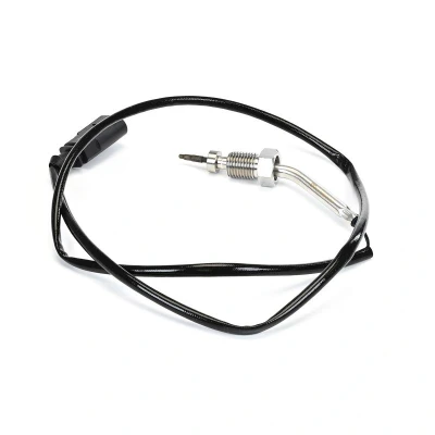 Afbeelding van DELPHI TS30016 12B1 Sensoren VOLKSWAGEN: Polo V Hatchback, SKODA: Fabia 2, SEAT: Ibiza 4 Sportcoupe