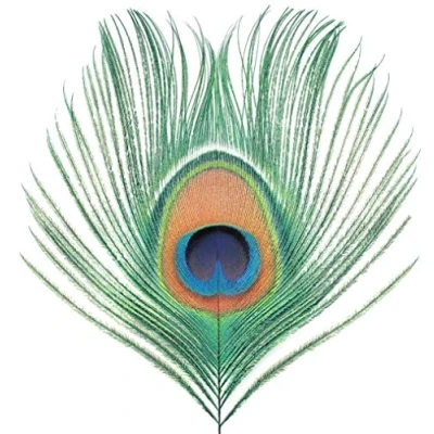 Afbeelding van Xtc Apple Venus Vol. I (LP)