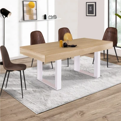 Image de Table à manger PHOENIX 6 personnes bois et blanc 160 cm