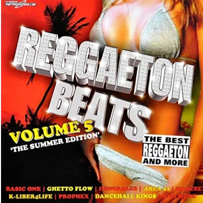 Afbeelding van Various Artists Reggaeton Beats Volume 5 (2 CD)