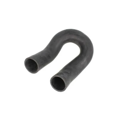 Afbeelding van THERMOTEC DCF056TT Laadluchtslang FIAT: Ducato II Platform/Chassis
