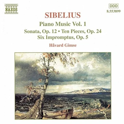 Afbeelding van Havard Gimse Piano Music 1 (CD)