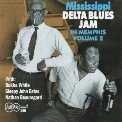 Afbeelding van Various Artists Mississippi Delta Blues (CD)
