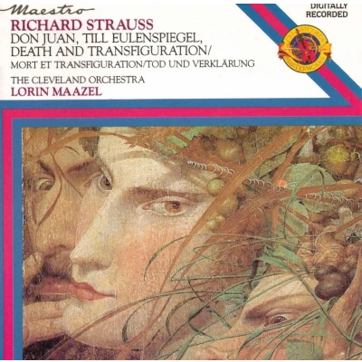 Afbeelding van R. Strauss Don Juan Till Eulenspiegel Death And Transfiguratiomn