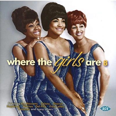 Afbeelding van Where The Girls Are V.8