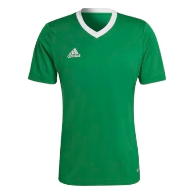Afbeelding van adidas Performance Entrada 22 Voetbalshirt Heren Groen XS